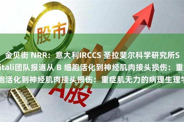 金贝街 NRR：意大利IRCCS 圣拉斐尔科学研究所Stefano Carlo Previtali团队报道从 B 细胞活化到神经肌肉接头损伤：重症肌无力的病理生理学变化