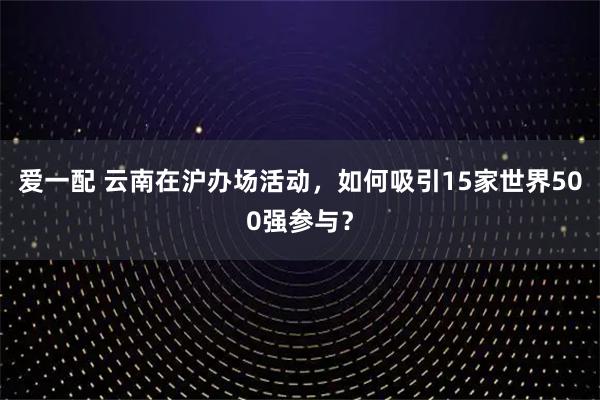 爱一配 云南在沪办场活动，如何吸引15家世界500强参与？