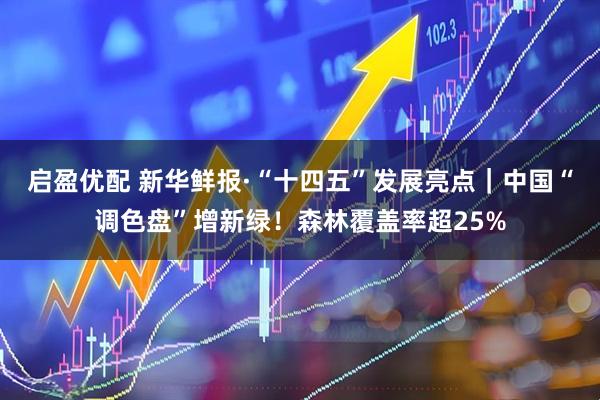 启盈优配 新华鲜报·“十四五”发展亮点｜中国“调色盘”增新绿！森林覆盖率超25%